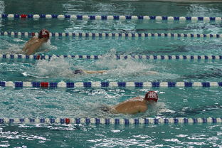 乐鱼官方-中国游泳运动员世锦赛接力项目表现抢眼，中国游泳接力夺金