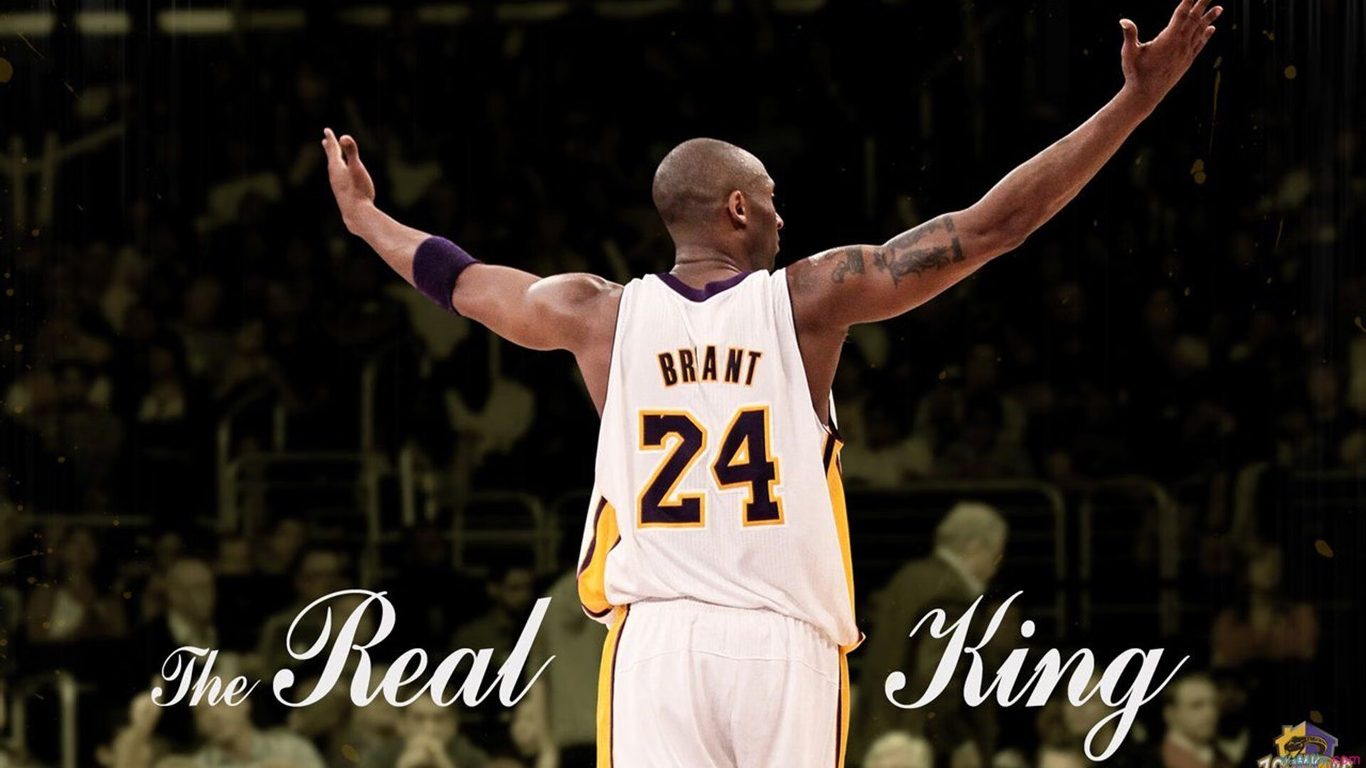 NBA球员职业生涯规划与转型支持，nba职业生涯排名